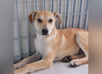 Lennox: wer spielt mit mir?