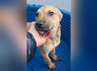 Lalita: spielen, kuscheln, die Welt entdecken