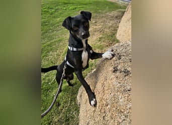 Nerino: ein Schatz für "überall mit dabei"