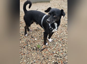 Nerino: ein Schatz für "überall mit dabei"