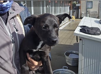 Lalita: spielen, kuscheln, die Welt entdecken