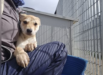 Lennox: wer spielt mit mir?