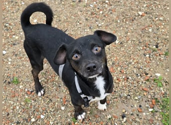 Nerino: ein Schatz für "überall mit dabei"