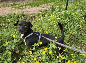 Nerino: ein Schatz für "überall mit dabei"