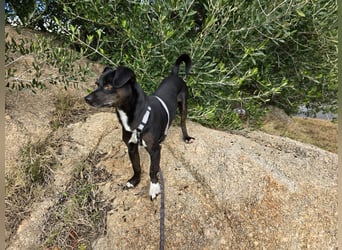 Nerino: ein Schatz für "überall mit dabei"