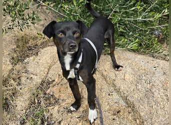 Nerino: ein Schatz für "überall mit dabei"