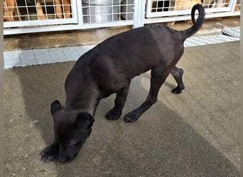 Lalita: spielen, kuscheln, die Welt entdecken