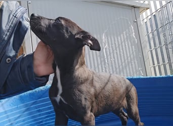 Lalita: spielen, kuscheln, die Welt entdecken