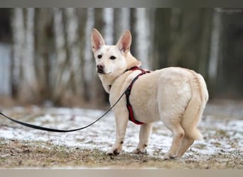 Vorsichtiger Theo sucht warmes Körbchen