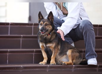 Sanfte Eva sucht warmes Körbchen