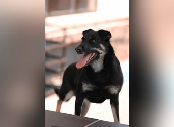 Menschenbezogene Lana sucht ihre Familie