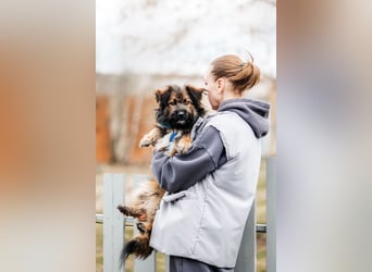 Sensibler Paul sucht seine Menschen