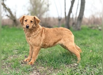 TIANA - ich freue mich auf viele glückliche Stunden mit meinen Menschen!