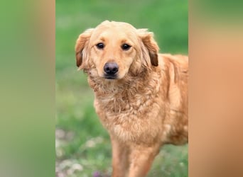 TIANA - ich freue mich auf viele glückliche Stunden mit meinen Menschen!