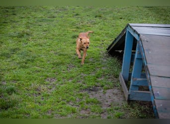 SABRINA - ich bin bereit für meine Menschen!