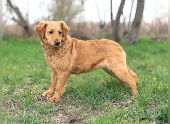 TIANA - ich freue mich auf viele glückliche Stunden mit meinen Menschen!