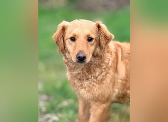 TIANA - ich freue mich auf viele glückliche Stunden mit meinen Menschen!