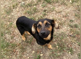 AVERNA - ich suche eine Familie die mich lieb hat, beschützt und nie mehr alleine lässt