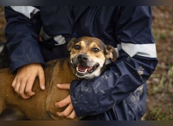 MAIKO - der lustige und fröhliche Rüde freut sich auf ein tolles Für-Immer Zuhause