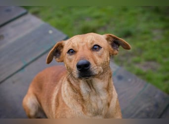 SABRINA - ich bin bereit für meine Menschen!