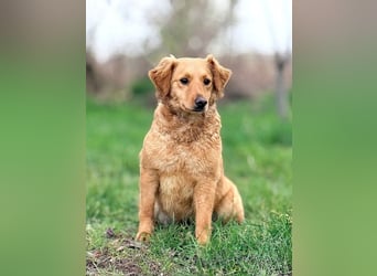 TIANA - ich freue mich auf viele glückliche Stunden mit meinen Menschen!