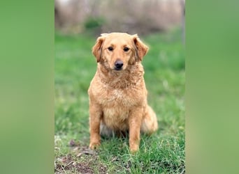 TIANA - ich freue mich auf viele glückliche Stunden mit meinen Menschen!