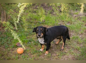 SIDNEY - Ich kann wieder laufen, wer zeigt mir nun das Leben?