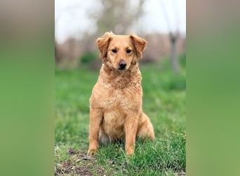 TIANA - ich freue mich auf viele glückliche Stunden mit meinen Menschen!