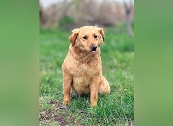 TIANA - ich freue mich auf viele glückliche Stunden mit meinen Menschen!