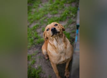 SABRINA - ich bin bereit für meine Menschen!