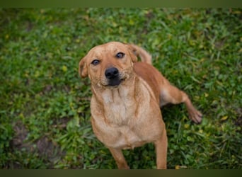 SABRINA - ich bin bereit für meine Menschen!