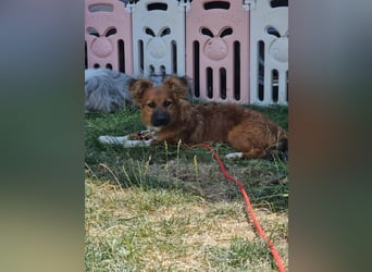 Ronny – ein kleiner Kämpfer auf dem Weg ins Vertrauen