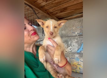 Boris – aus dem Schacht direkt ins Herz ❤️