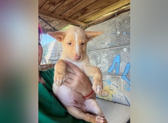  Boris – aus dem Schacht direkt ins Herz ❤️