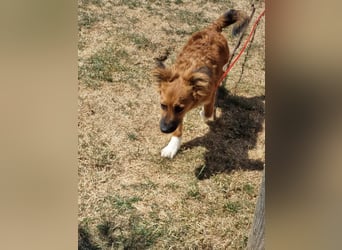 Ronny – ein kleiner Kämpfer auf dem Weg ins Vertrauen