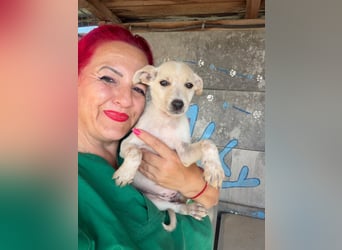  Betty Bacley – bereit für den Start in ein neues Leben 
