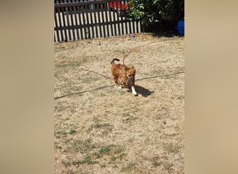 Ronny – ein kleiner Kämpfer auf dem Weg ins Vertrauen