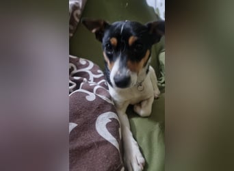 Mini-Mädchen Mandy sucht ihre Familie!