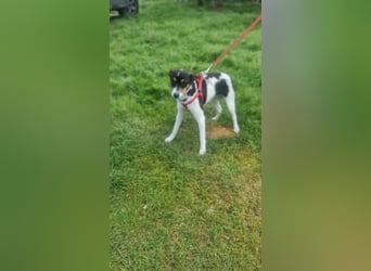 Mini-Mädchen Mandy sucht ihre Familie!