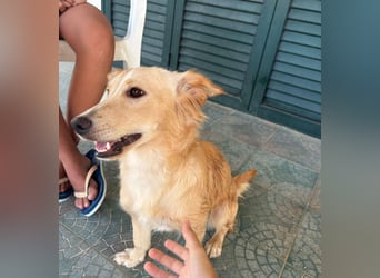 Lustige kleine Elly sucht ihr Zuhause!