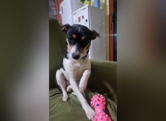 Mini-Mädchen Mandy sucht ihre Familie!