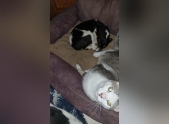 Mini-Mädchen Mandy sucht ihre Familie!