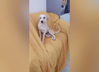 Enza - Zufall oder Schicksal?