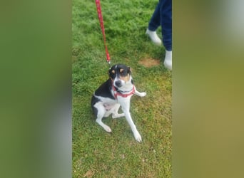 Mini-Mädchen Mandy sucht ihre Familie!