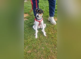 Mini-Mädchen Mandy sucht ihre Familie!