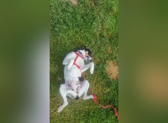 Mini-Mädchen Mandy sucht ihre Familie!