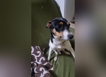 Mini-Mädchen Mandy sucht ihre Familie!