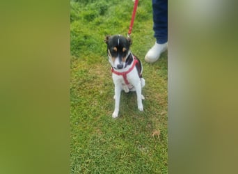 Mini-Mädchen Mandy sucht ihre Familie!