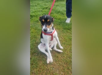 Mini-Mädchen Mandy sucht ihre Familie!