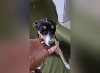 Mini-Mädchen Mandy sucht ihre Familie!